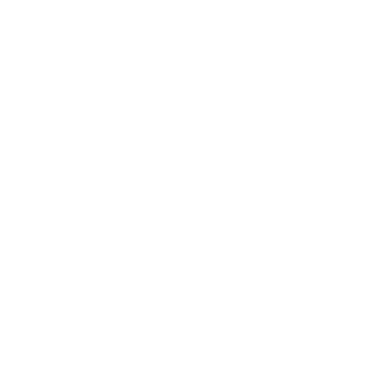 IT Support & Infrastructure Management