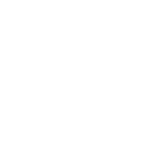 Fast Repairs & Support